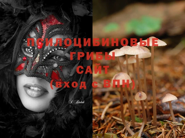 дмт Белоозёрский