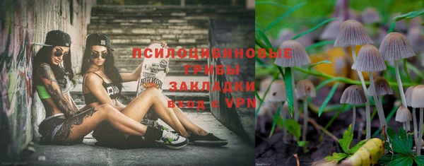 дмт Белоозёрский